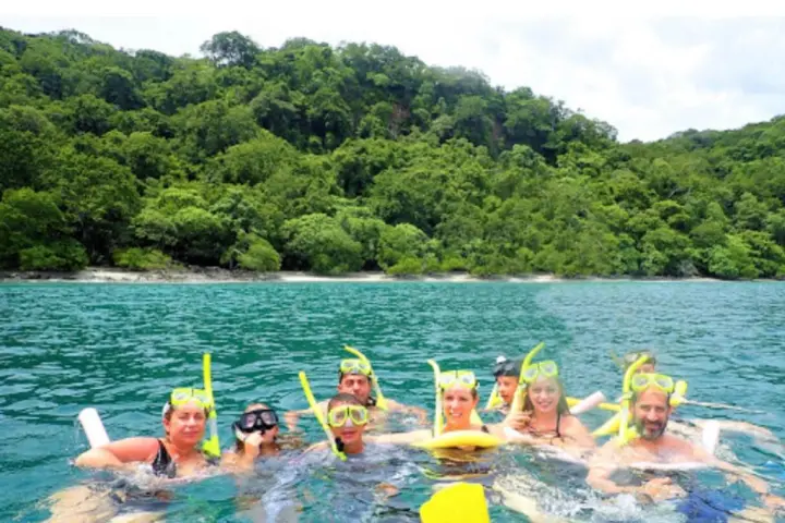 a group of people swimming in a body of water